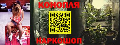 сатива Кимры