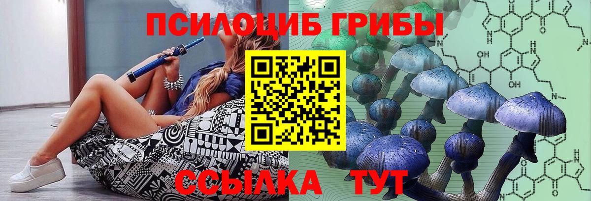 Южно-Сахалинск  Псилоцибиновые грибы GOLDEN TEACHER  Вход с VPN 