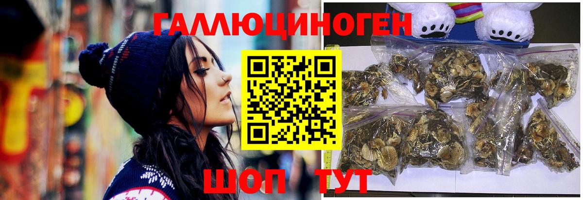 Галлюциногенные грибы Psilocybe Южно-Сахалинск